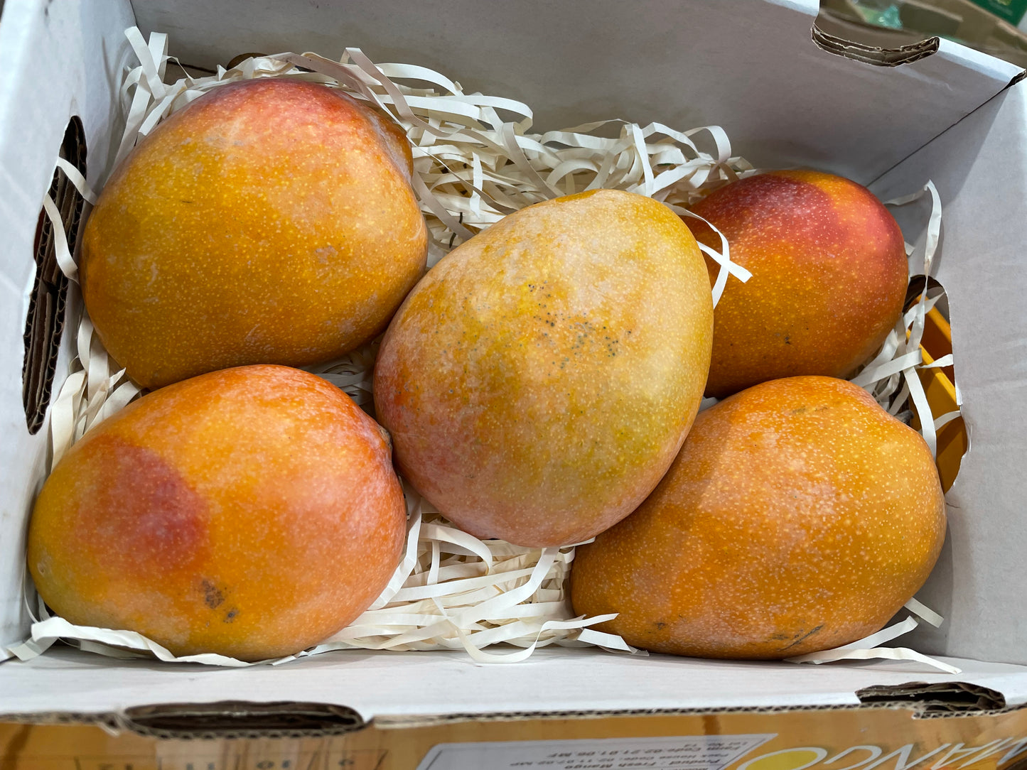 Fresh Egyptian Mango (Box of 5)