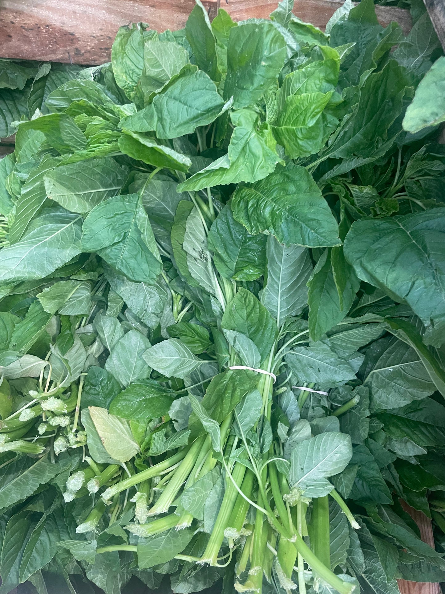 Fresh Callaloo