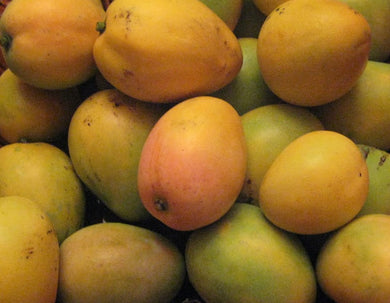 Fresh Jamaican Common/Hairy Mango