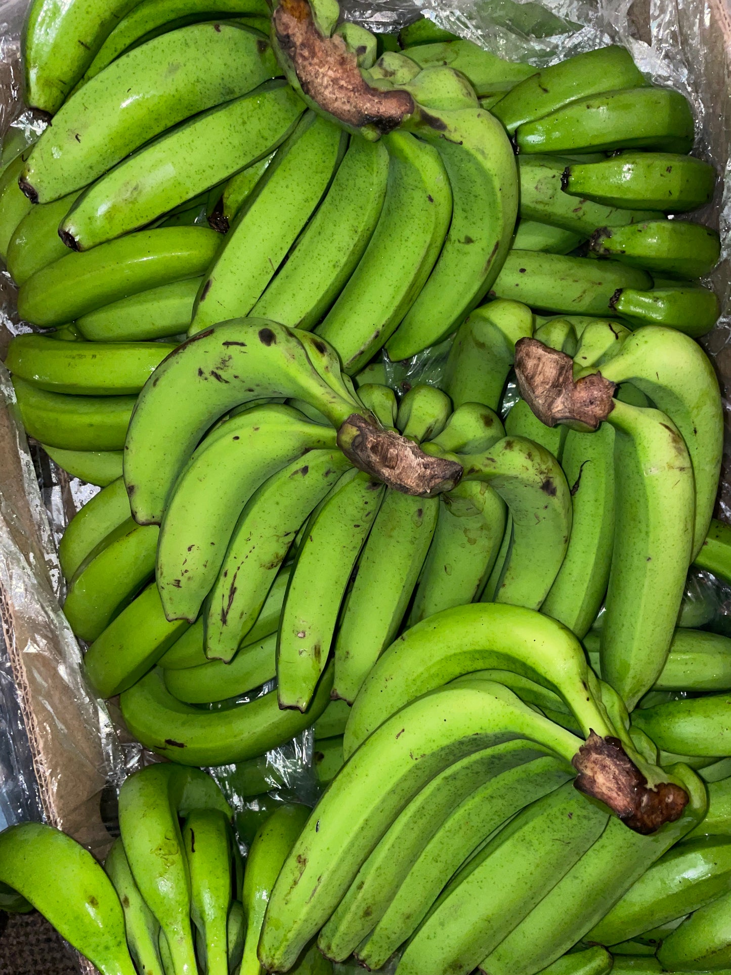 Fresh St Lucian Green Banana (Bunch of 8)