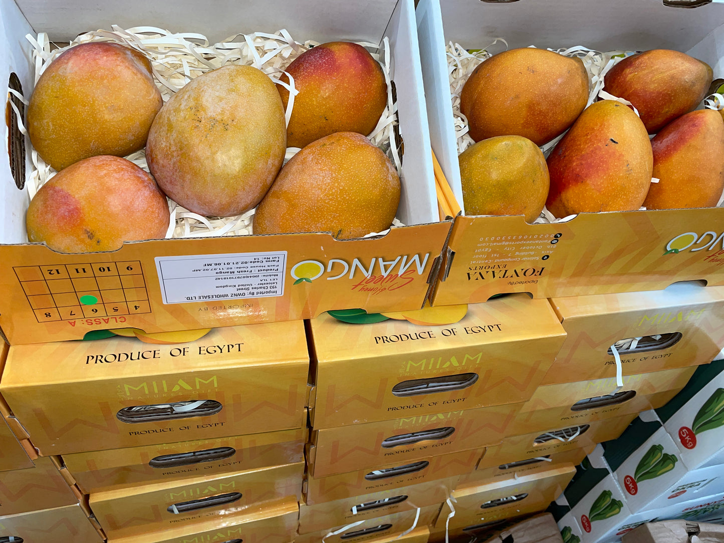 Fresh Egyptian Mango (Box of 5)