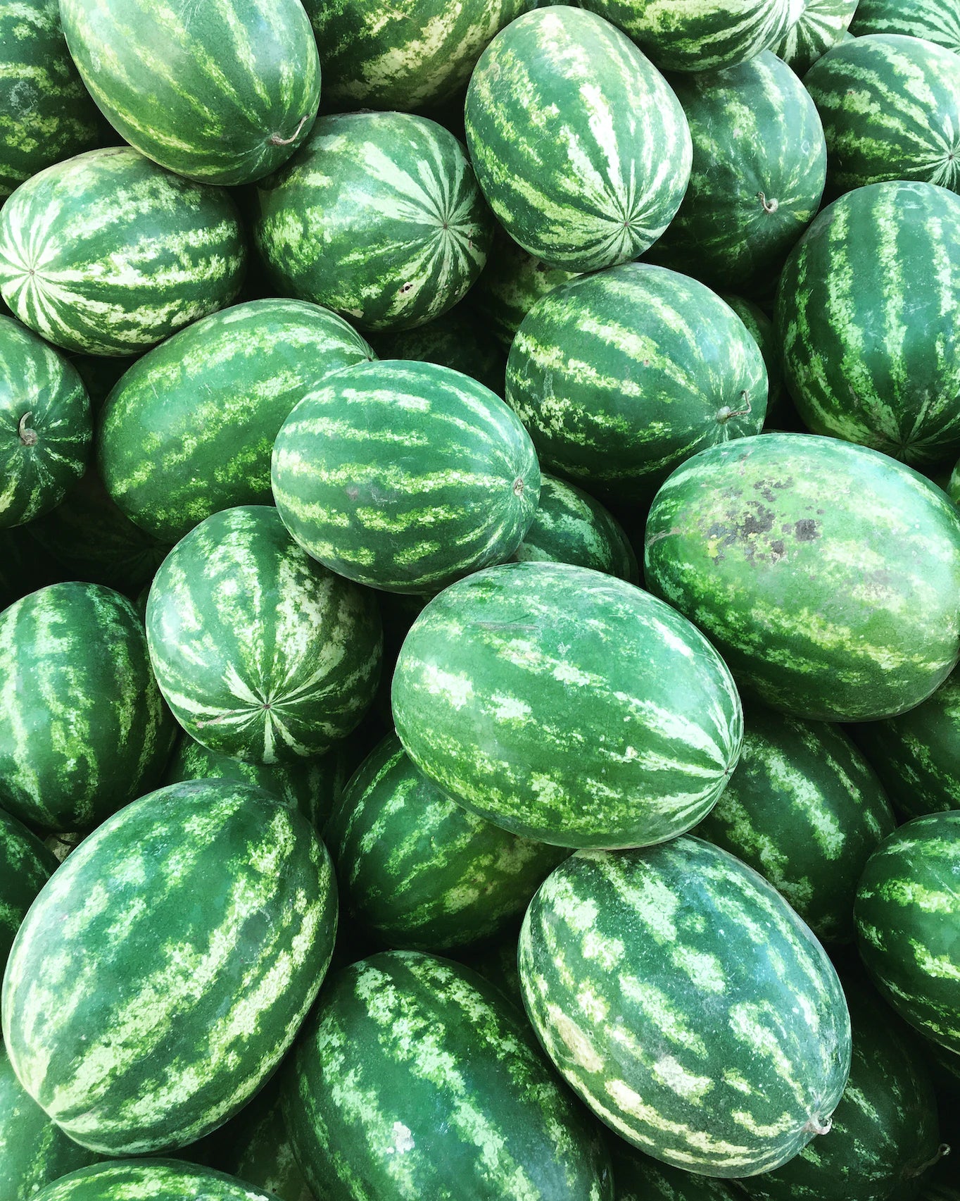 Fresh Large Seeded Watermelon