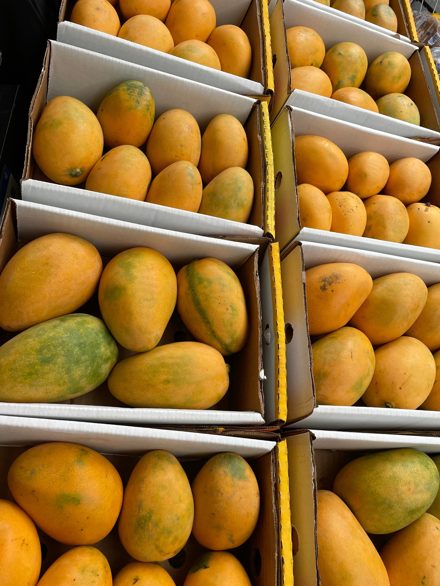 Fresh Mingolo Mango Dominican Republic Box