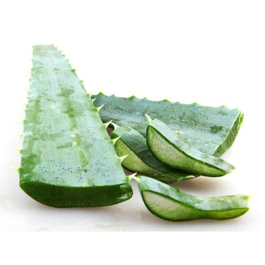 Fresh Aloe Vera