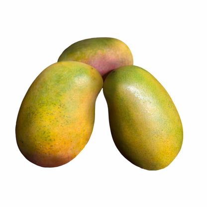 Fresh Jamaican East Indian Mango