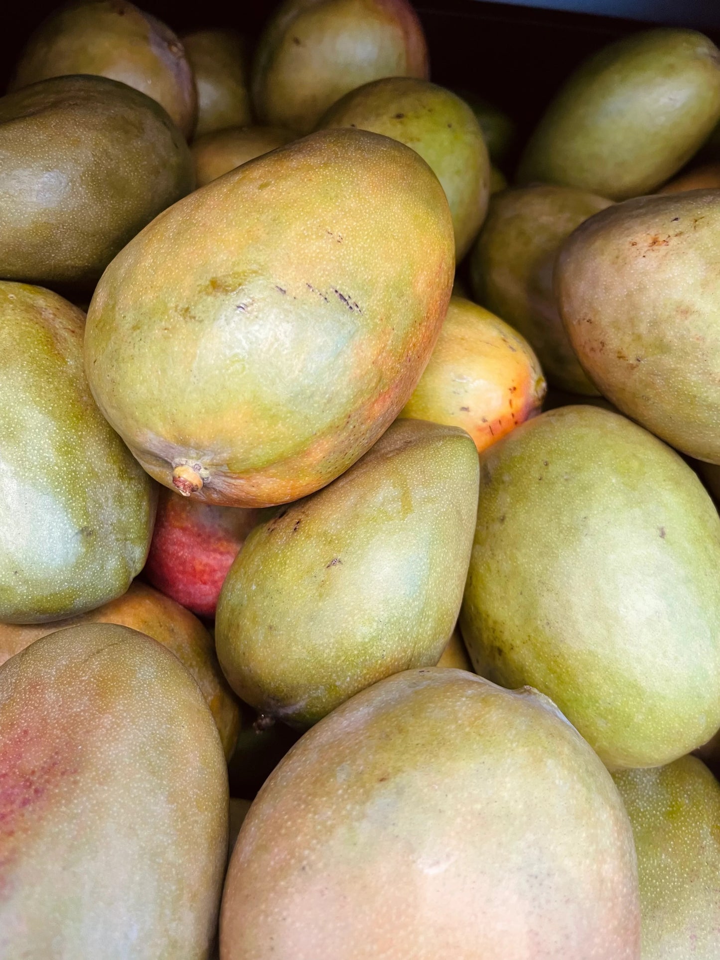 Fresh St Lucian | Jamaican Julie Mango