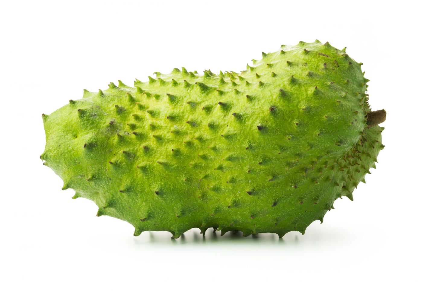 Fresh Jamaican/St Lucian Soursop (Graviola)